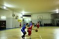 Basket 443043